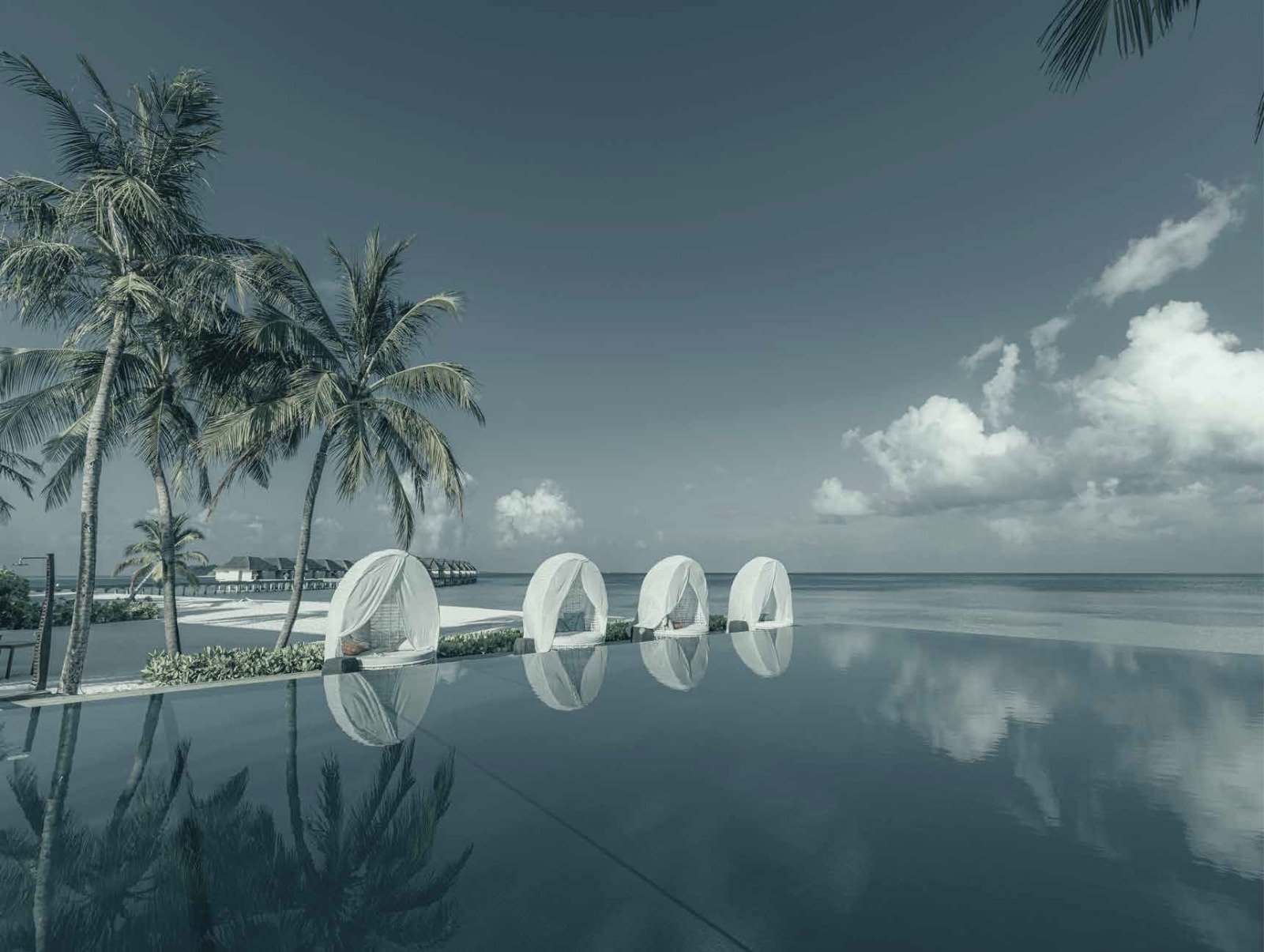 SHELTON ELITE Gallery Photo 5